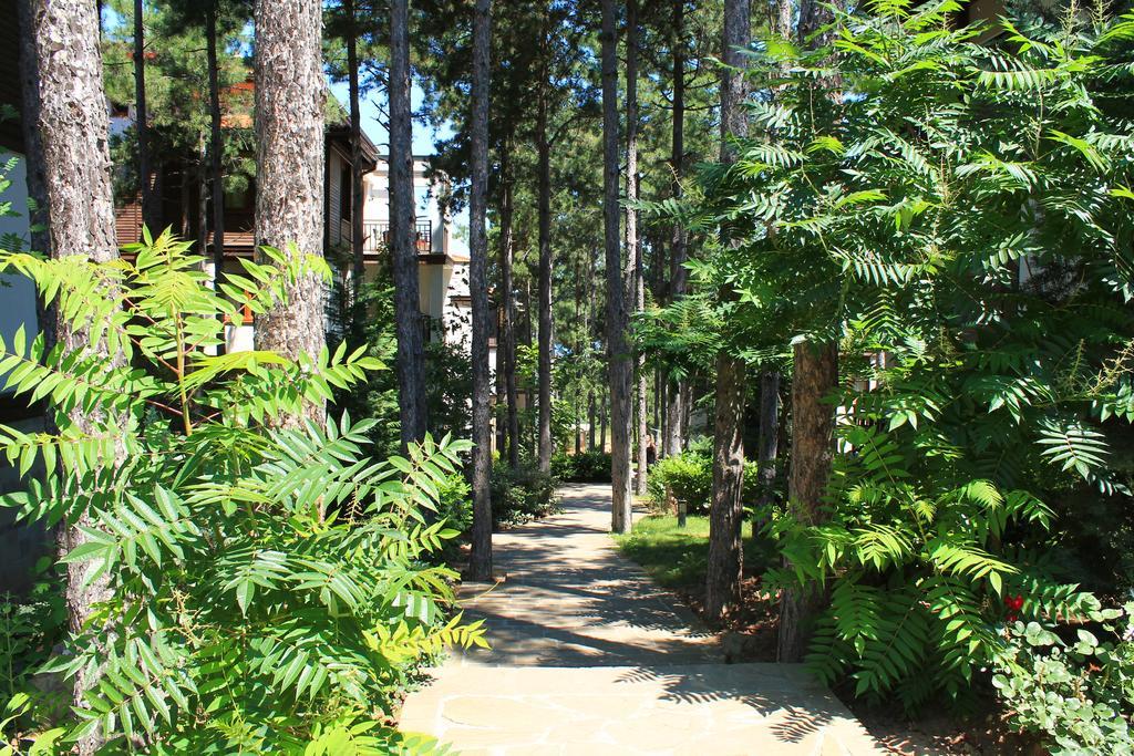 Apartments Dreambg Sozopol Quarto foto